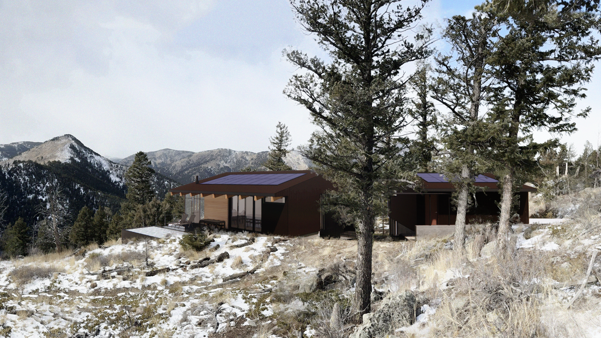Zero Energy Homes: The Future of Sustainable Architecture